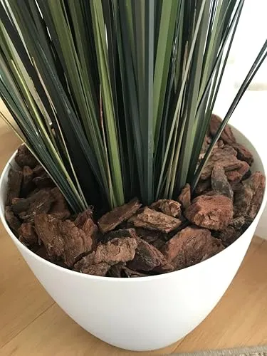 frux Dekorpinie grob 25 – 40 mm 60 Liter