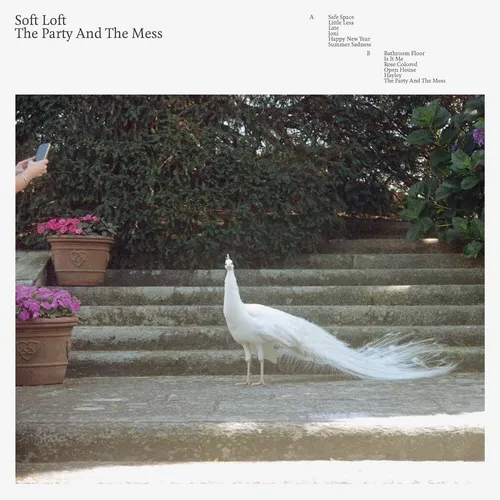 Soft Loft The Party and the Mess (Vinyl)