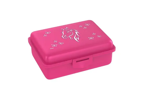 Fizzii Lunchbox bunte Brotdose 18 x 13 x 7 cm, Polyethylen, mit Innengefach zum Rausnehmen