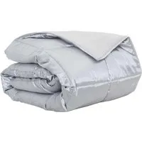 vidaXL Sommerdecke Silber 220 x 135 cm – Satin und Mikrofaser - Verwandle dein Schlafzimmer mit dieser eleganten Sommerdecke in ein gemütliches Paradies. Die atmungsaktive Mischung aus Satin und Mikrofaser sorgt für optimalen Komfort an warmen Nächten.