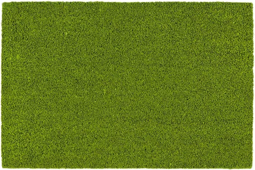 Fußmatten Grün von Astra