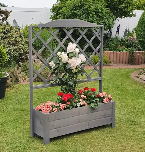 promadino Rankhilfe Botanica