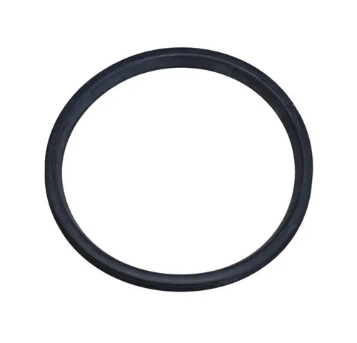 GEBERIT Wasserrohr Geberit Silent-PP Lippendichtung für Muffen, DN 110