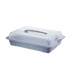 Rotho Cool & Fresh Partybutler mit Kühlung - Tortenbutler für den sicheren Transport von Cupcakes und Snacks, inklusive 2 Kühlkissen für optimale Frische und Komfort dank Tragegriff. Ideal für Feiern und Grillpartys.