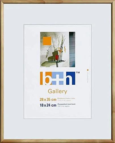 Bilderrahmen 28 x 35 Holz massiv Kiefer schmal Portrait-rahmen Foto Echt-Glas