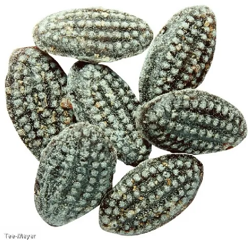 Spitzwegerich Bonbon 500g Original Edel 1 kg/15,80 € g1