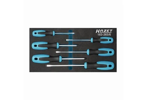 Hazet Werkstatt Schraubendreher-Set 6teilig - Schraubenzieher-Set mit Safety-Insert-System für rüttelfeste Werkzeuge. Ideal für präzises Arbeiten in Werkstätten und Heimwerkstätten.