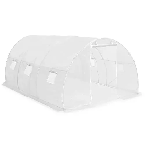 vidaXL Gewächshaus mit 6 Seitenfenstern und 1 Tür von vidaXL