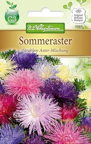N.L.Chrestensen 5065, Callistephus Sommeraster, Strahlen-Aster, Mischung, Mehrfarbig
