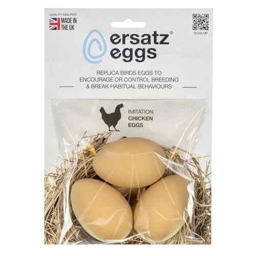 Eier von ersatz eggs