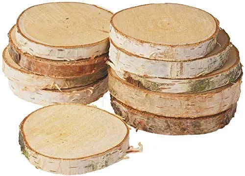 Kleine Holzscheiben zum Dekorieren und Basteln - 10er Set naturbelassene Baumscheiben mit 10cm - 12cm Durchmesser aus Birkenholz - runde Mini Holz Birkenscheiben als Holzdeko Holzplatten