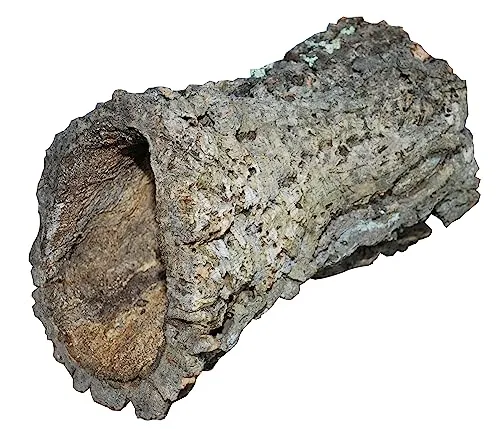 Dehner Terra Terrariendeko - Korkröhre Größe L, ca. 20-30 cm, naturbelassener Unterschlupf für Terrarien und beliebte Klettermöglichkeit