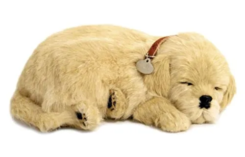 Perfect Petzzz Hundewelpe Golden Retriever, der richtig atmet The Breathing Puppy