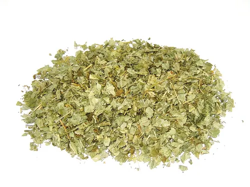 Tees & Aufgüsse Grün von Tee Meyer