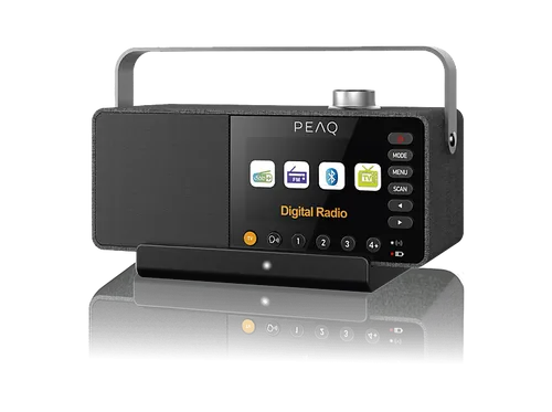 PEAQ PTS 100 Fritz DAB/TV-Lautsprecher für Senioren