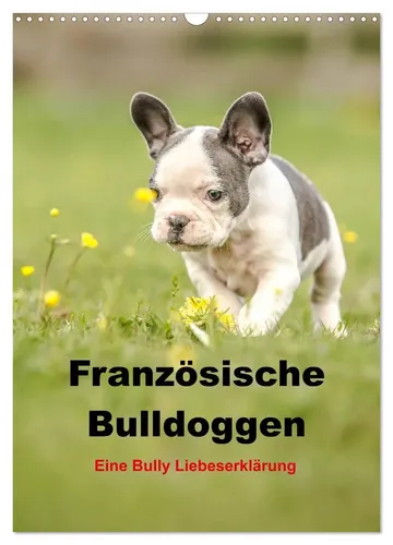 Yvonne Obermüller | Französische Bulldoggen Kalender 2025 - Kalender mit 14 Seiten und wundervollen Aufnahmen der beliebten Französischen Bulldoggen, perfekt als Geschenk für Tierliebhaber.