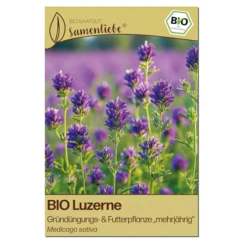 Samenliebe BIO Luzerne Samen | Futterpflanze & Gründünger in lila von Samenliebe