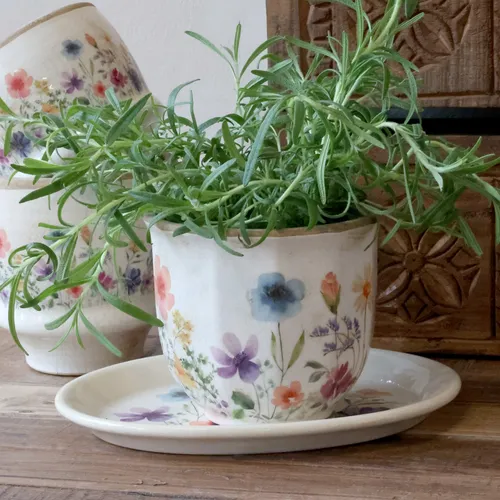 Blumentöpfe von Chic Antique