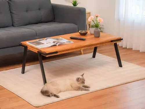 Couchtisch MARLO aus massivem Eichenholz mit Metallgestell 110x60 cm - Moderner Couchtisch für den Innenbereich, gefertigt aus robustem Eichenholz und einem stabilen Metallgestell. Ideal für stilvolle Wohnzimmergestaltung und leicht zusammenbaubar.
