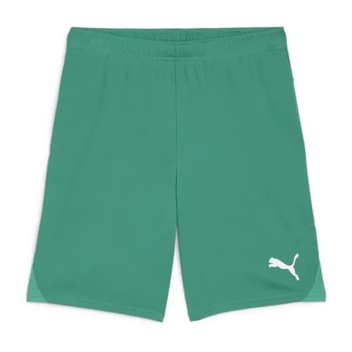 PUMA teamGOAL Shorts, Unisex-Erwachsene Gestrickte Shorts, Sport Green-PUMA White, 705752