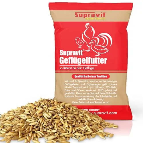 Supravit Hafer ganz 25kg | Frischer gelber Futterhafer natürlich & ungeschält für Geflügel,Pfere & Nager| staubfrei & riecht gut I Energie & Kraftfutter