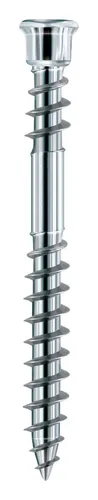 Eurotec Terrassenschrauben DIN10088, 5,5x60mm T25, 200 Stück - Terrassenschrauben aus gehärtetem Edelstahl für langlebige Terrassen. Höheres Bruchdrehmoment als A2/A4, ideal für sicheren Halt.
