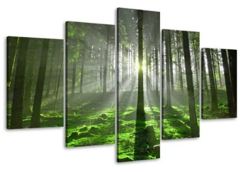 Visario Bild auf Leinwand 100 cm Nr 6406 Wald fertig gerahmte Bilder 5 Teile Marke original Leinwandbilder