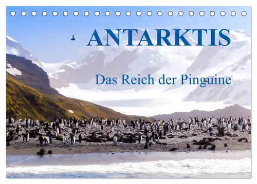 Max Steinwald | Antarktis - Das Reich der Pinguine (Tischkalender 2026 DIN A5...