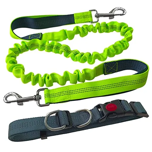 Freihändige Hundeleine, Grau Hüftgurt und Grün Bungee-Leine Kit | Jogging Hundeleine, Laufen Hundeleine, Verstellbarer Hüftgurt und Dehnbare Bungee-Leine, mit Reflektierenden Nähten