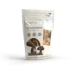 Herosan fungoVITAL BauchGefühl Hundesnack 100 g