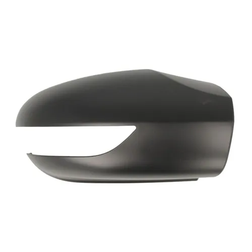 Gehäuse, Außenspiegel BLIC 6103-01-1312557P