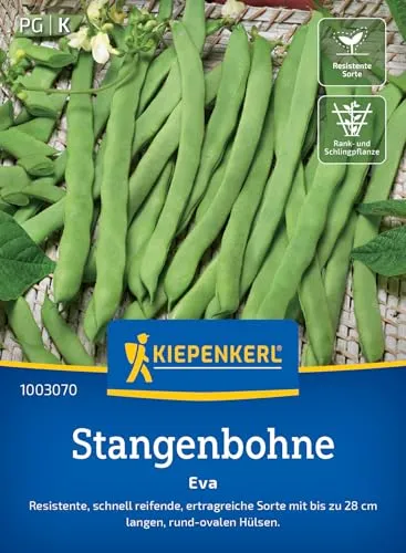 Kiepenkerl Stangenbohnensamen Eva 1003070 - Gemüsesamen für resistente Stangenbohnen mit bis zu 28 cm langen Hülsen und einem Inhalt für 15 Stangen - Gemüse Pflanzen