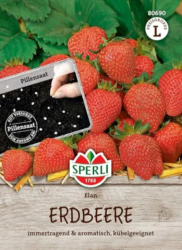 SPERLI Saatgut von SPERLI