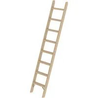 PROREGAL Stufen-Anlegeleiter Holz ohne Traverse | 8 Stufen - Hochwertige Holzleiter für vielseitige Einsatzzwecke, ideal für Zuhause und Gewerbe – sicher, stabil und langlebig!