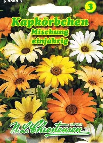Kapkörbchen Mischung, einjährig, margeritenähnliche Blüte, dekorativ 'Dimorphoteca sinuata'