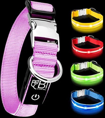 Leuchthalsband für Hunde [Das Original] Leuchtendes LED Hundehalsband zum spazieren gehen auch im Dunkeln- sehr Lange Akkulaufzeit – Sicher Dank hochwertigem Metallverschluss (XS (24-35 cm), Pink)