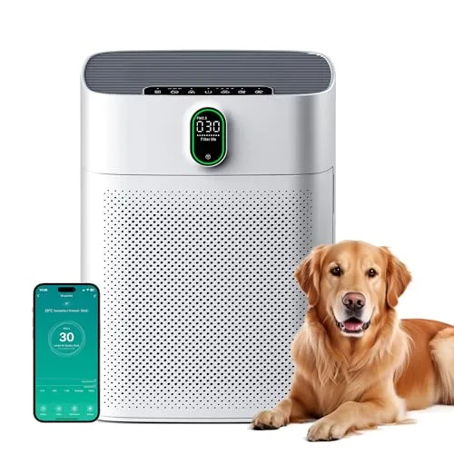 MERONTE Luftreiniger HY4866-WF für Allergiker | HEPA Filter, CADR 300 m³/h, 24 dB, WLAN & Sprachsteuerung