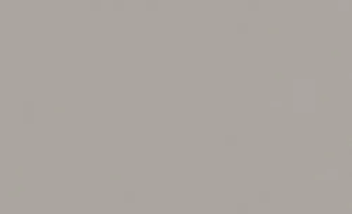 Architects Paper Vliestapete Longlife Colours, Unis, grau 307257 - Vielseitige Tapete mit einzigartigem Charakter. Ideal für Hotels, Restaurants und Einzelhandel – widerstandsfähig und kratzfest, sorgt für ein einheitliches Wandbild.