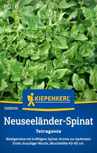 Kiepenkerl Neuseeländer-Spinatsamen Tetragonia 1008050 von Kiepenkerl