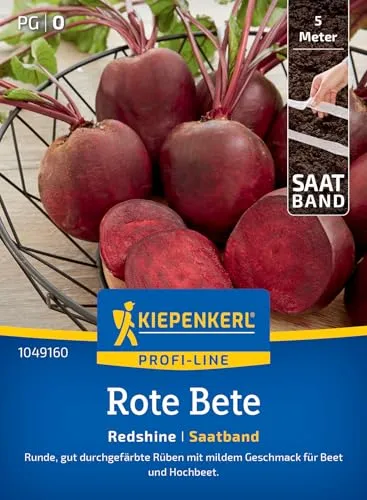 Kiepenkerl Profi-Line Rote Bete Redshine in rot von Kiepenkerl