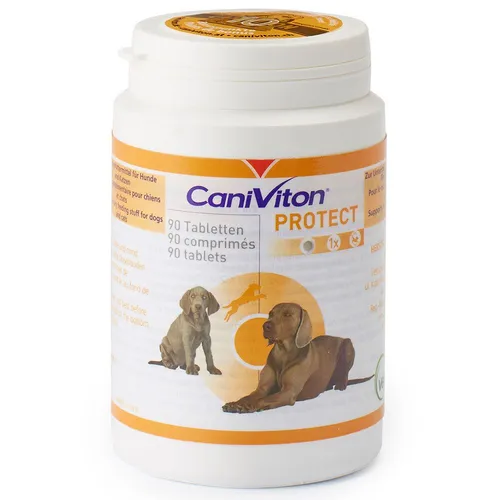 CaniViton® PROTECT - Ergänzungsfuttermittel für Hunde und Katzen, unterstützt Gelenke und Mobilität durch Glucosamin und Chondroitinsulfat. Ideal für junge und agile Tiere.