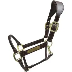 Kentucky Horsewear Halfter aus anatomischem Leder von Kentucky