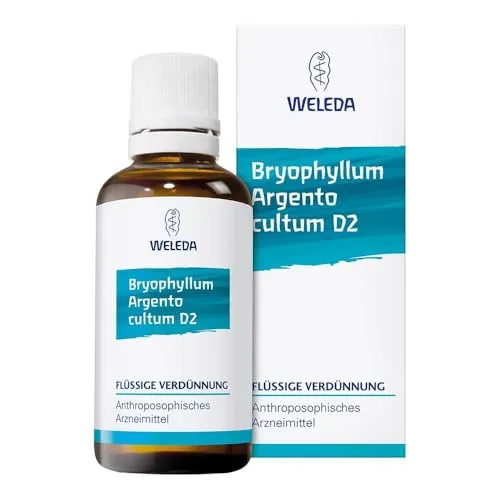 Bryophyllum Arg Cul D 3 50 ML - Anthroposophisches Arzneimittel zur Unterstützung bei Schlafstörungen, Unruhe und Erschöpfung. Ideal für die Eingliederung verselbständigter Stoffwechselprozesse.