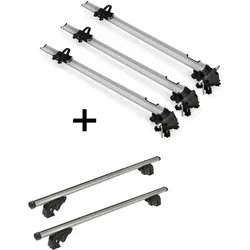 Fahrradträger Bike Pro + Dachträger VDP LION2 für Mercedes Vaneo