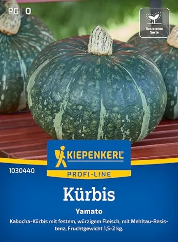 Kiepenkerl Profi-Line Kürbissamen Yamato 1030440 - Kabocha Kürbis - feste Sorte - würziges Fleisch - 1,5-2kg - Samen Gemüse, Saatgut, Gemüsepflanzen