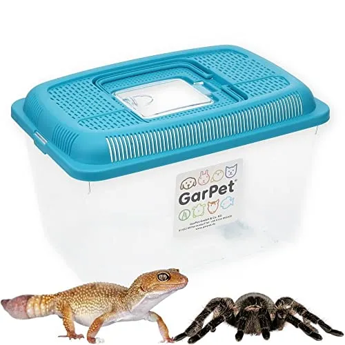 GarPet Faunabox Transport Quarantäne Box Tierbeobachtung Urzeitkrebse Triops Heimchen Fauna Box Insektenbox Amphibien Faunarium Gr. L
