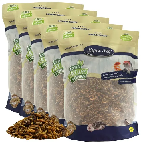 Lyra Pet® Protein Boost Insekten Mix - 5 kg für Vögel und Nager - Hochwertiges Vogelhauptfutter mit 54,7 % Rohprotein aus Shrimps, Mehlwürmern und Grashüpfern, ideal zur Muskelstärkung und Vitalität Ihrer Tiere.