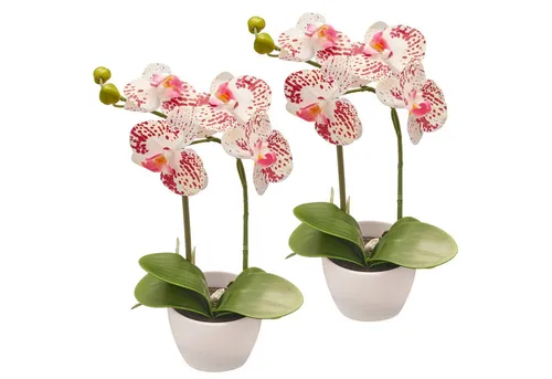 Kunstorchidee Orchidee Phalaenopsis, Creativ green, Höhe 33 cm, im Design-Topf
