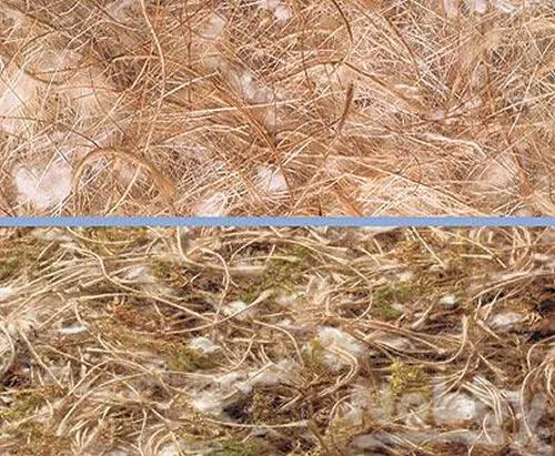 Nobby Cocos-Sisal-Jute-Baumwolle 500 g