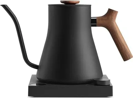 Fellow Wasserkessel Stagg EKG Pro